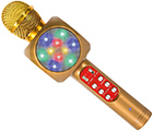 Premie 24 Karaokemikrofon - Guld