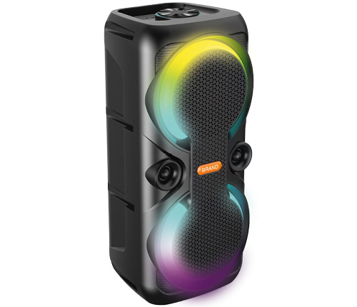 Party Speaker