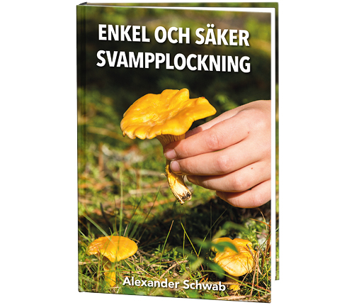 Enkel och säker svampplockning